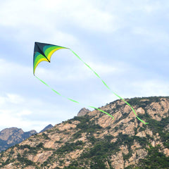 Delta Kite ideal for beach days and family outdoor time with kids