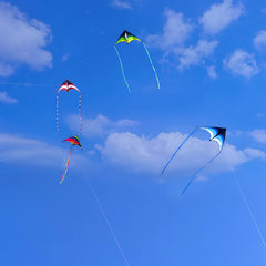 Mint's Colorful Life delta kite blue features two sewn ribbons for graceful flights