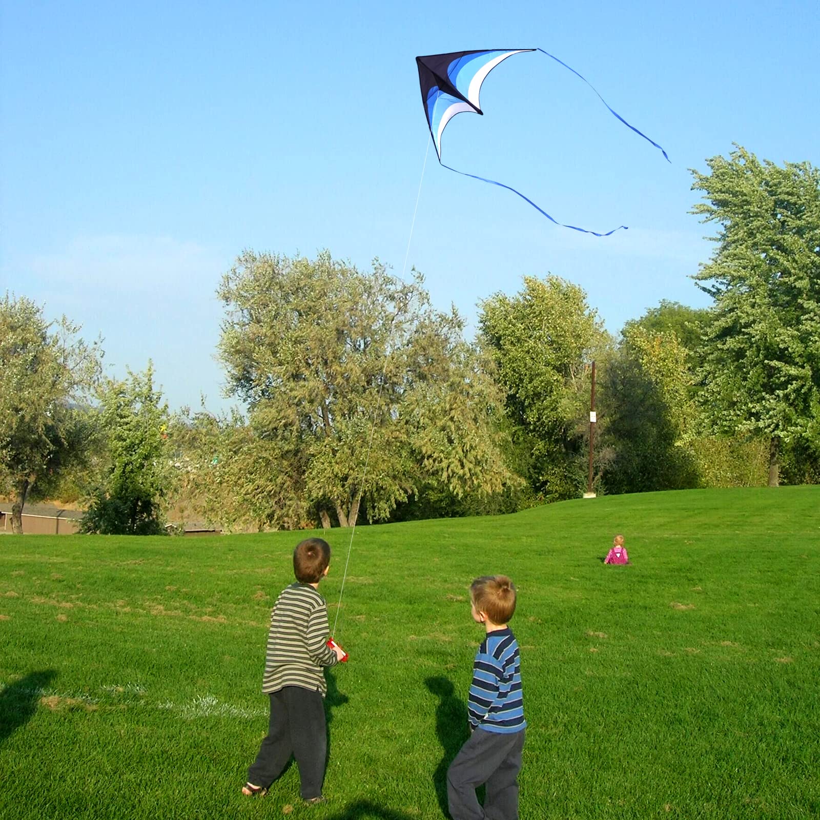 Mint's Colorful Life delta kite blue large wings provide stable, easy handling