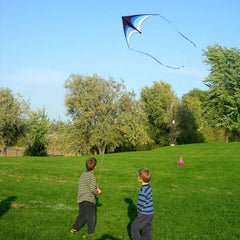 Mint's Colorful Life delta kite blue large wings provide stable, easy handling