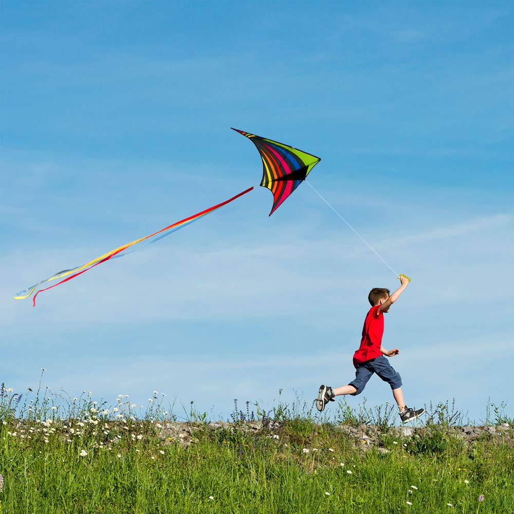 Mint's Colorful Life Delta Kite kid-friendly beach scene for outdoor play