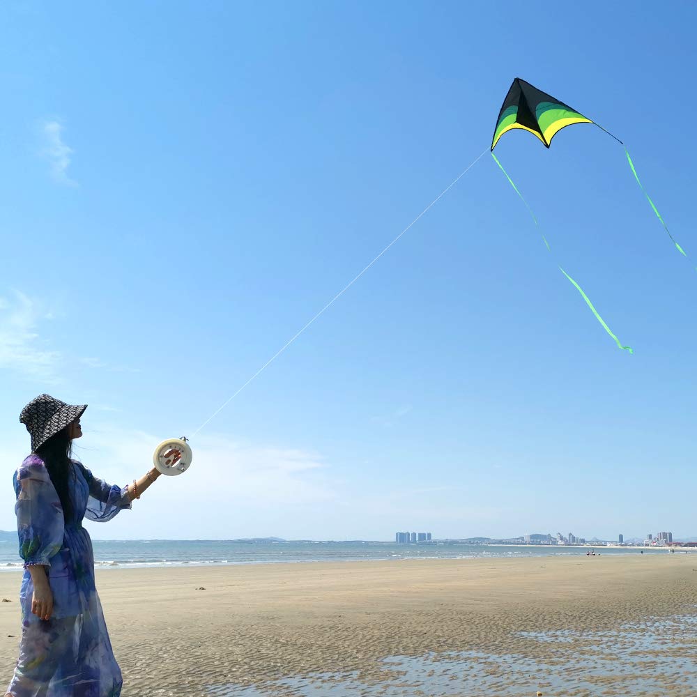 Mint's Colorful Life Delta Kite ready to fly with simple setup