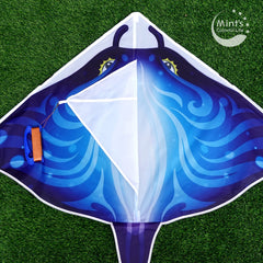 Mint's Colorful Life Devil Fish Kite blue beach scene ready for sun and wind.
