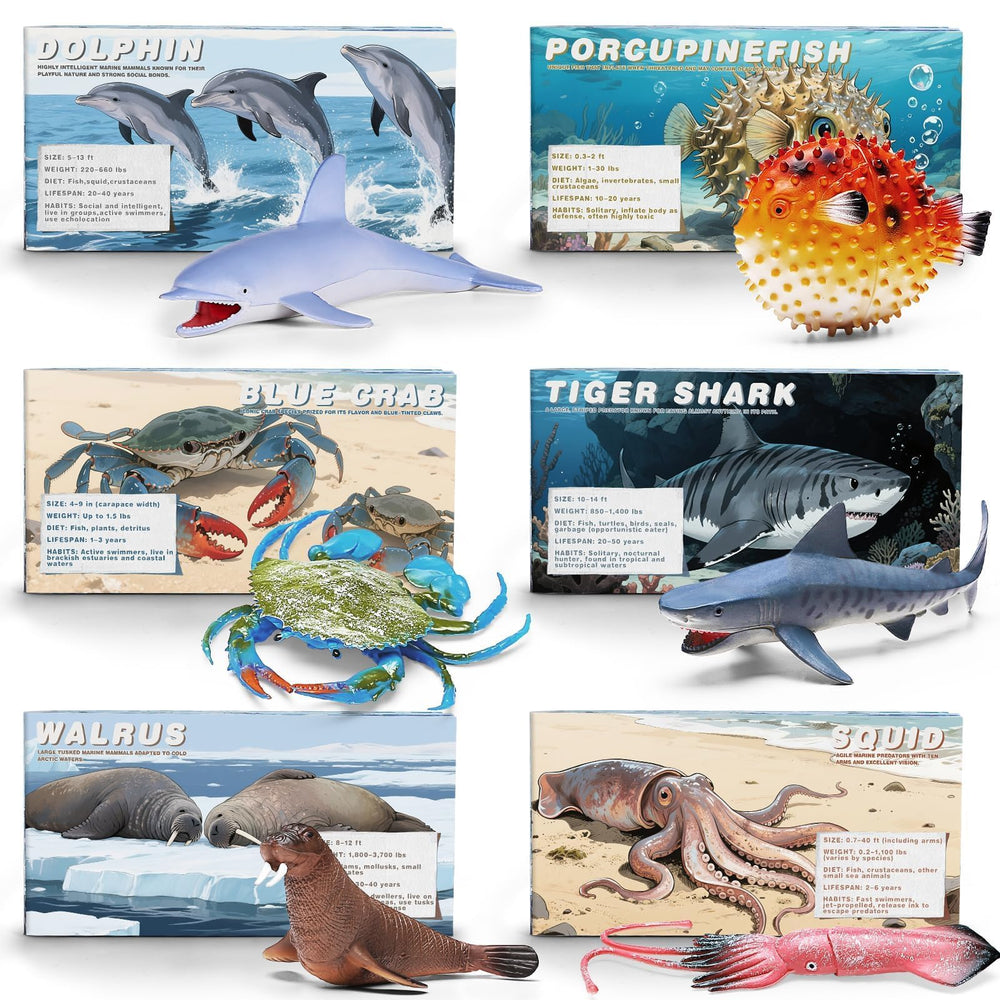 MOEAWS ocean sperm whale figure for education-inspired bath time and discovery.