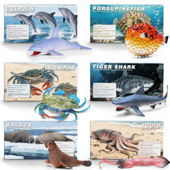 MOEAWS ocean sperm whale figure for education-inspired bath time and discovery.