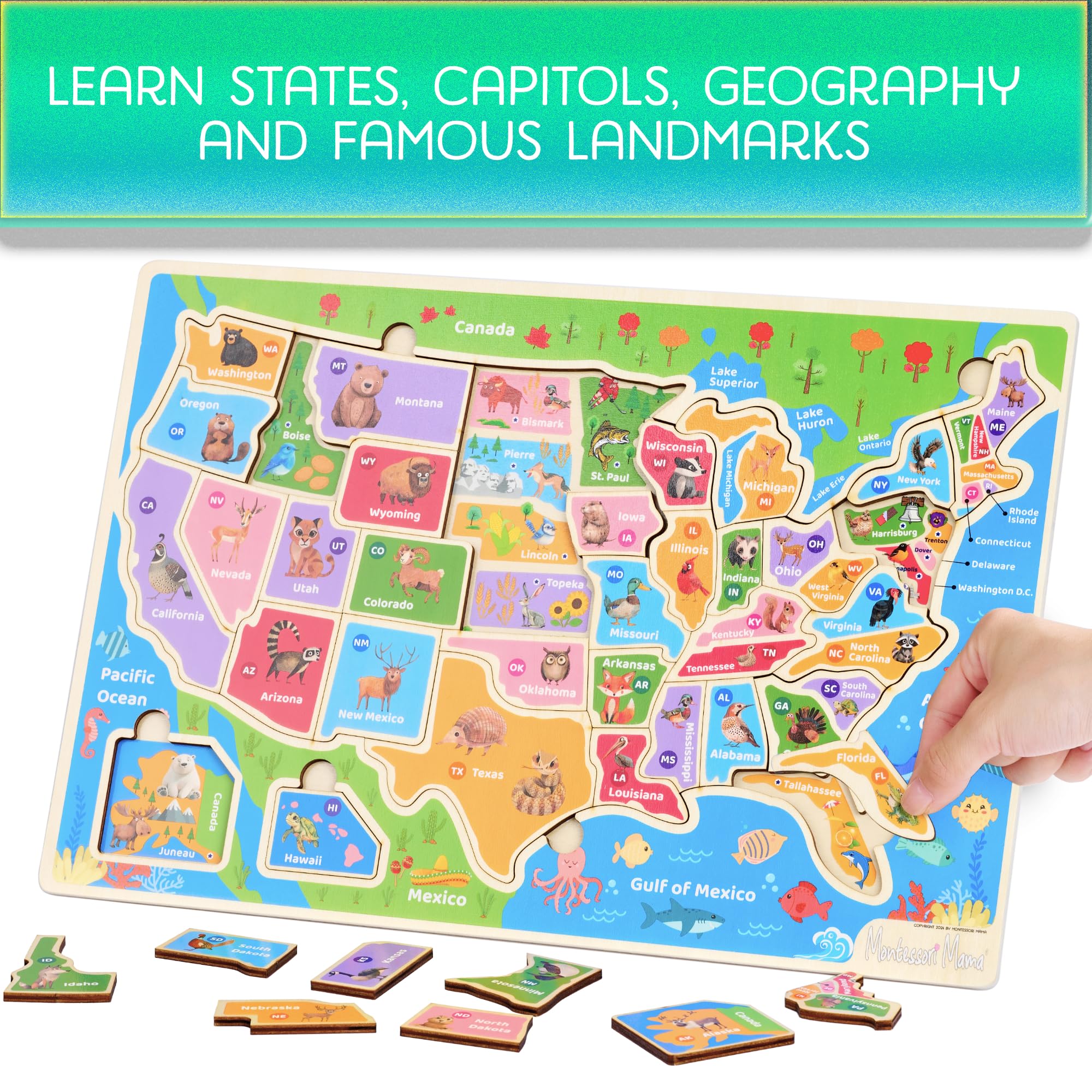 Montessori Mama USA Map Puzzle displays all 50 states and capitals for geography practice.