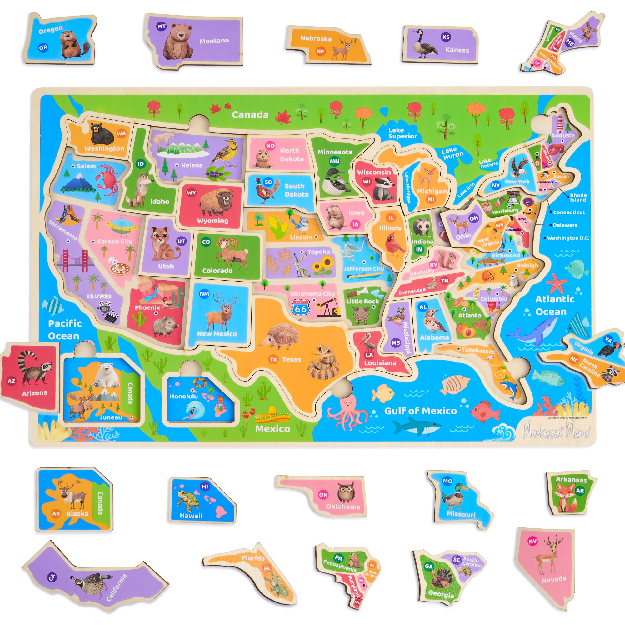 Montessori Mama USA Map Puzzle assembled to show state shapes for tactile learning.
