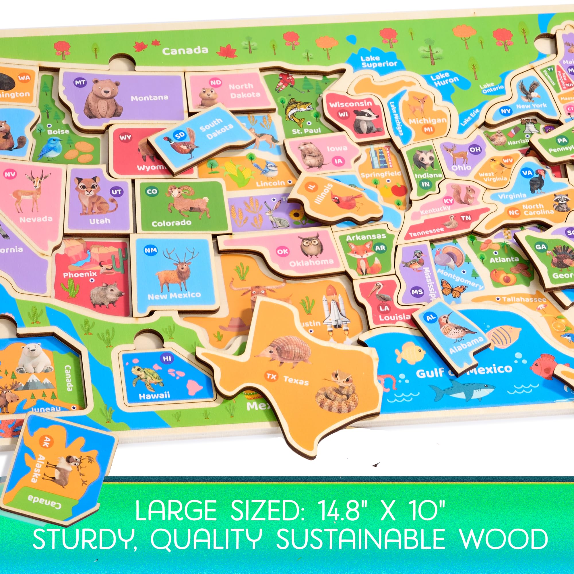 Montessori Mama USA Map Puzzle features sturdy wooden construction for durable use.