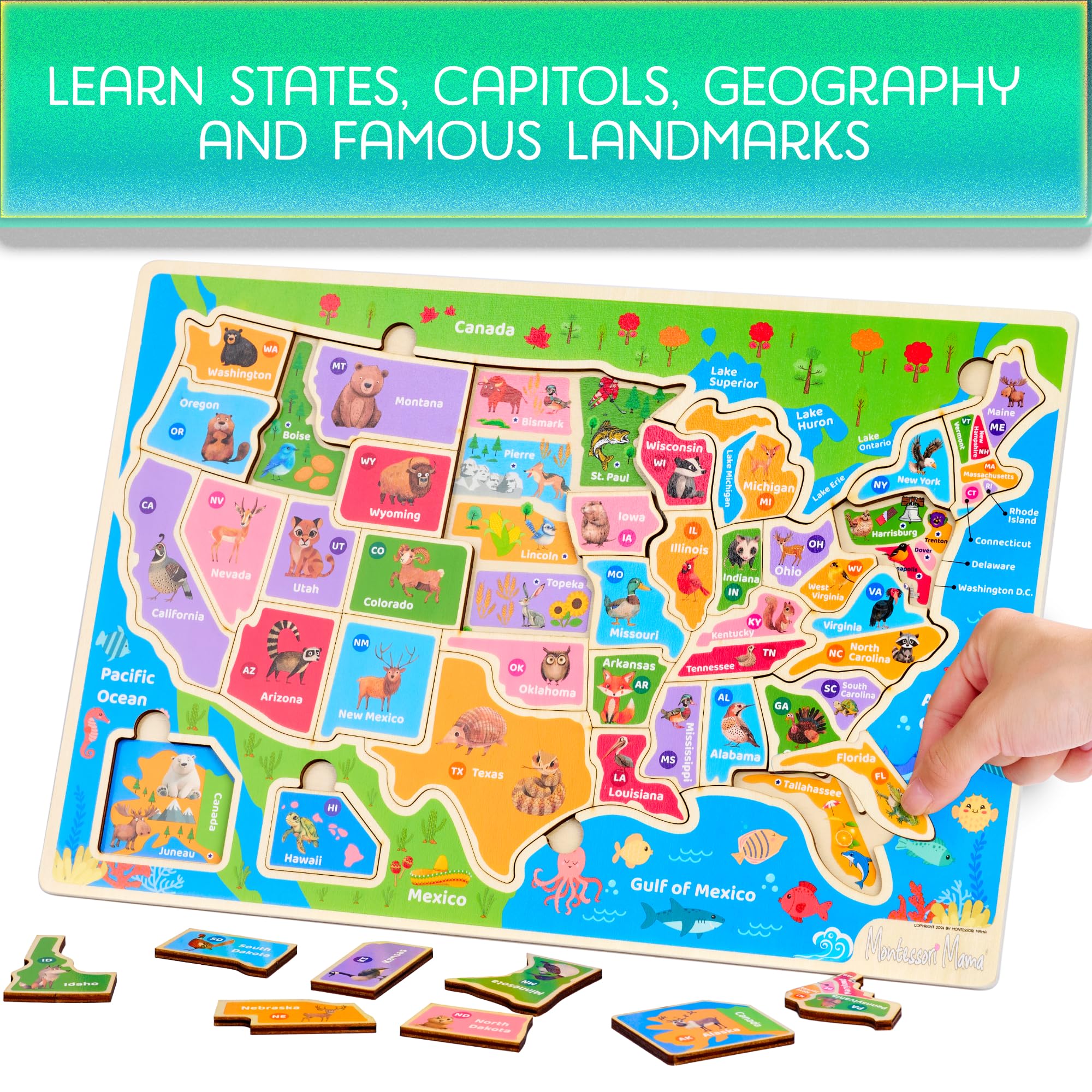 Montessori Mama usa-states-capitals-puzzle with bright pieces supporting mapping skills and memory.