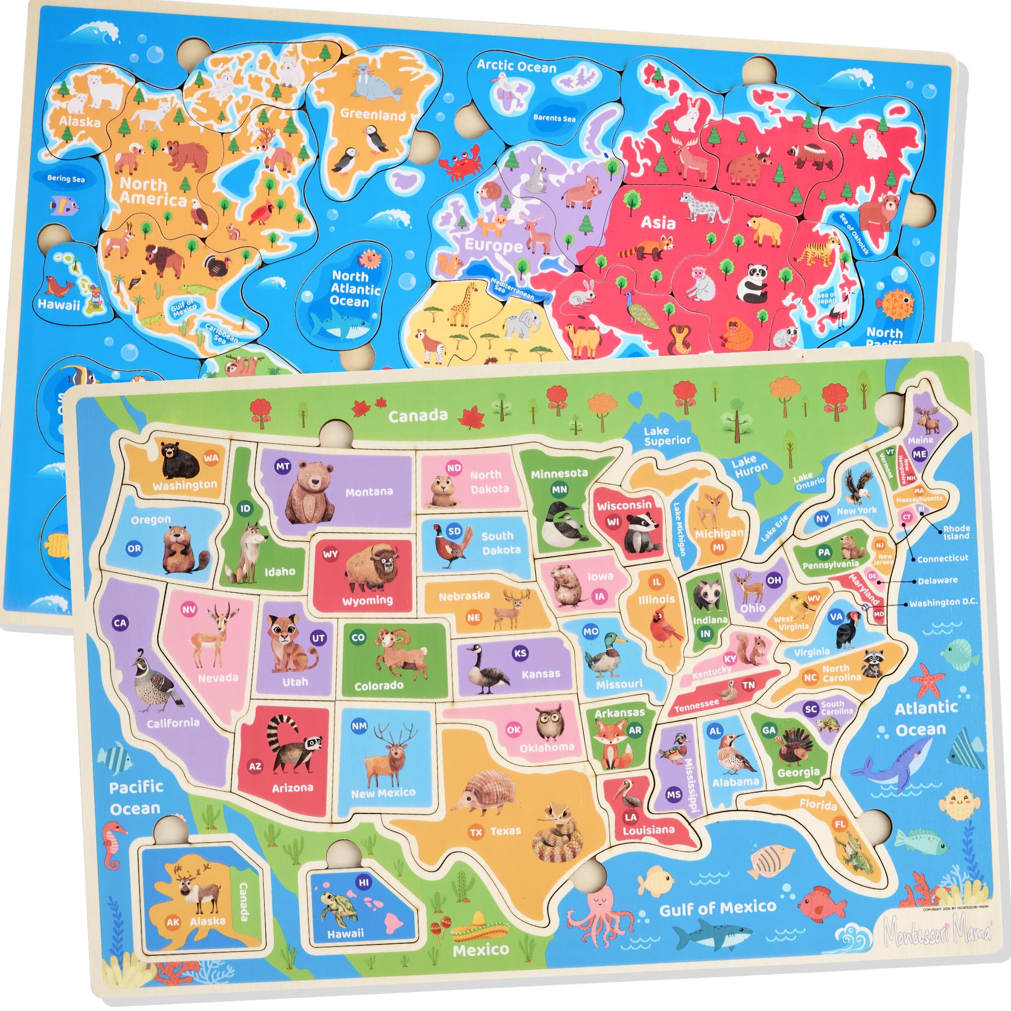 Montessori Mama world-continents-oceans puzzle for hands-on geography learning and visual recognition.