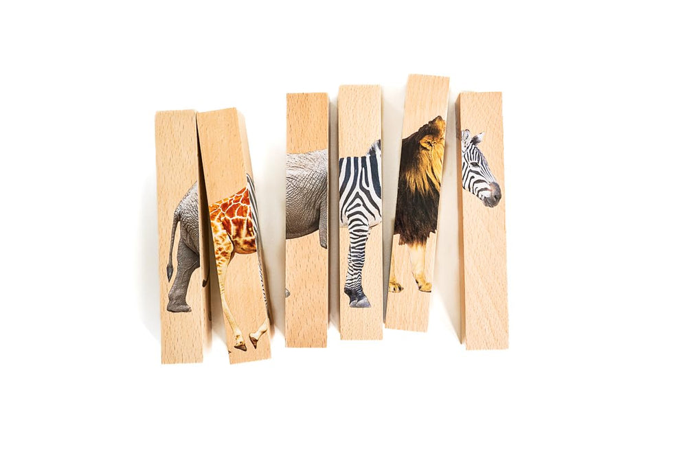 Montessori & Me photo-realistic safari animals image sparks curiosity about nature.