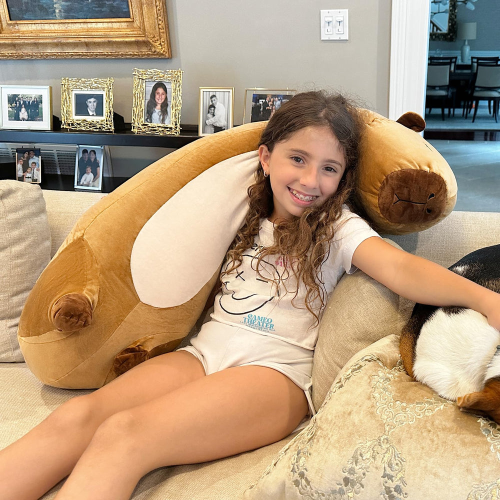 MorisMos Capybara Pillow gift-ready packaging for capybara lovers