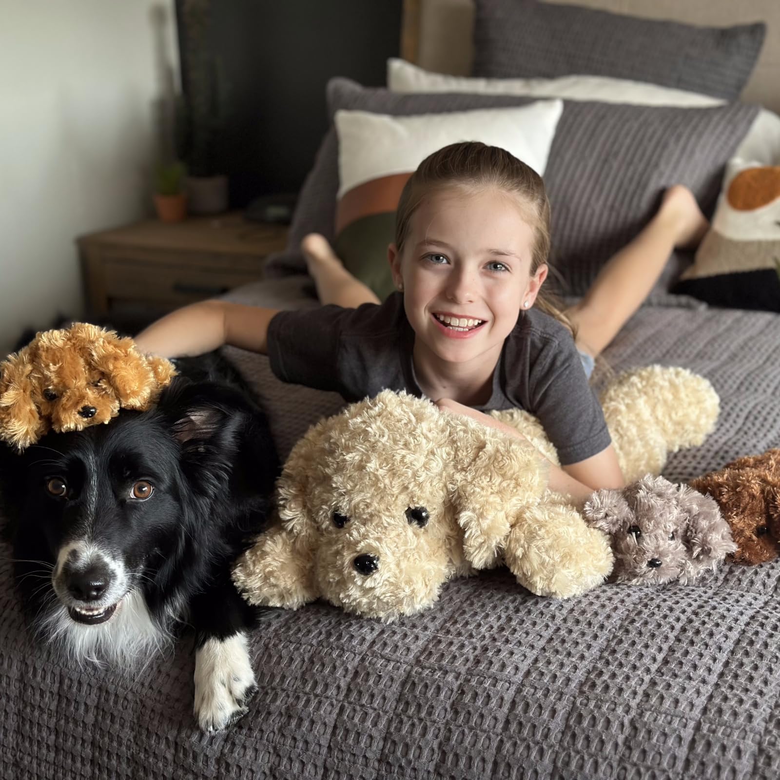 MorisMos Labrador plush set in five colors for color recognition and play.
