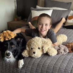 MorisMos Labrador plush set in five colors for color recognition and play.