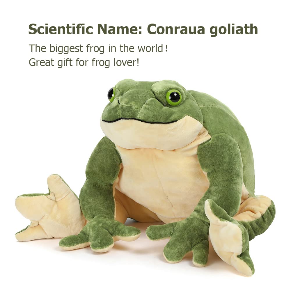 MorisMos frog plush close-up eyes with cute expression