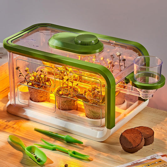 Mostop Kids Plant Growing Kit drip irrigation setup enables easy watering control