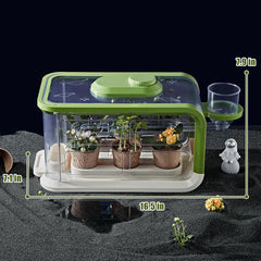 Mostop Kids Plant Growing Kit planting pots arranged for seedlings