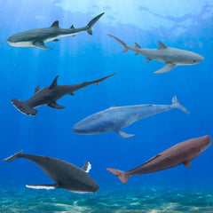Mostop sperm whale figure invites discovery of deep-sea habitats.