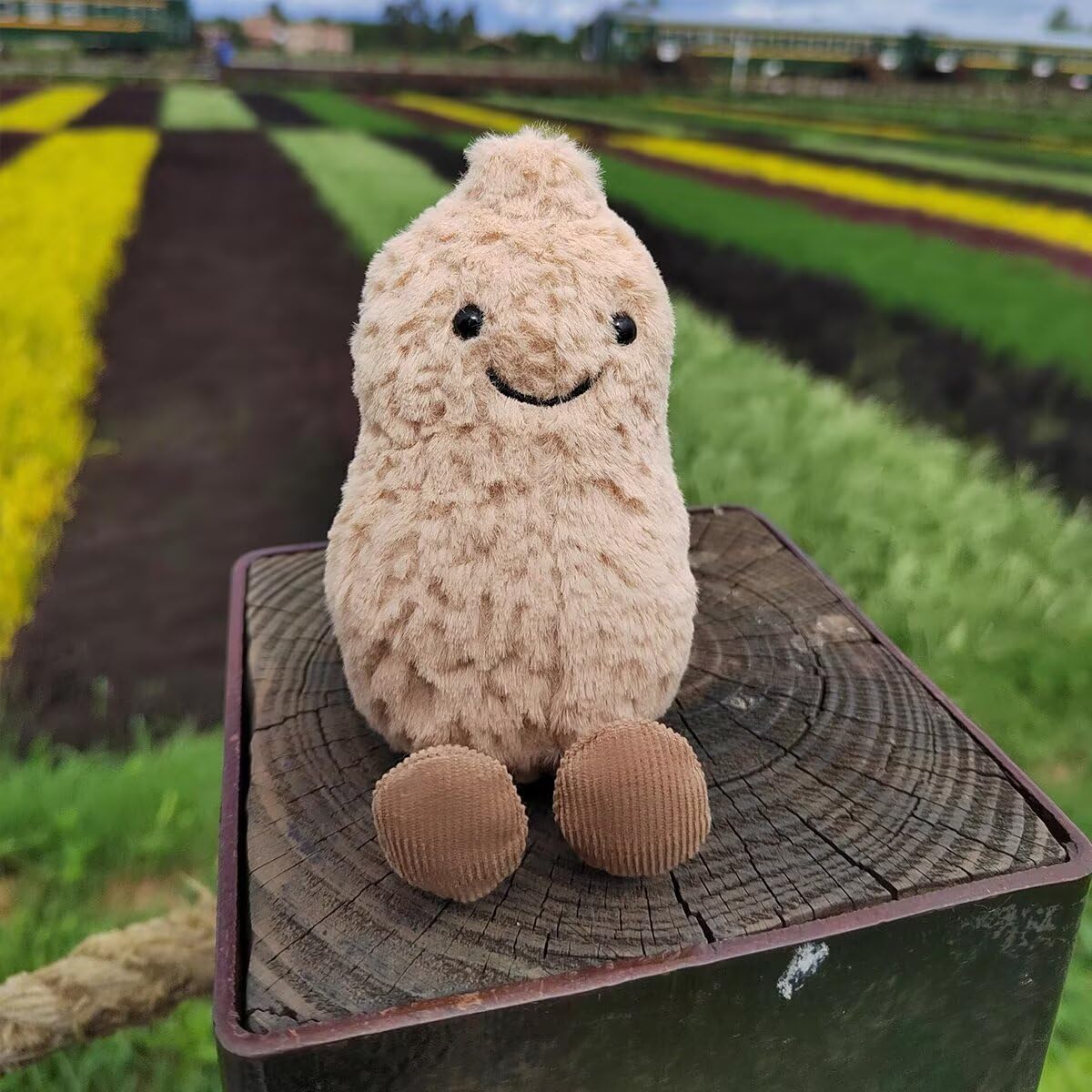 MUALML collectible peanut plush decor that adds whimsy to any space.