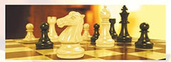 Multipurpose Go magnetic travel chess set family game for travel nights.