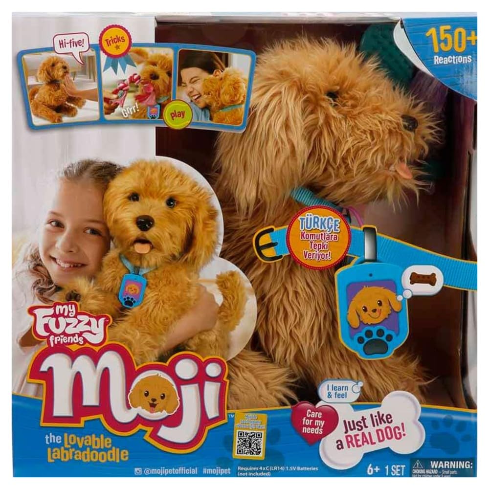 Bath-card interaction hints at care routines with Moji's color-coded cues
