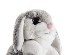 My OLi Bunny travel-friendly plush, a portable friend on trips.