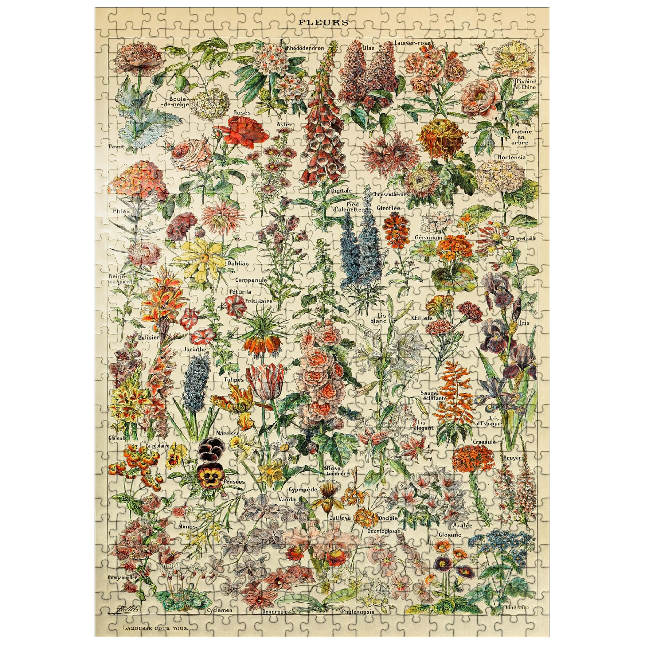 MyPuzzle Fleurs 500-piece puzzle with vibrant colors for immersive evenings