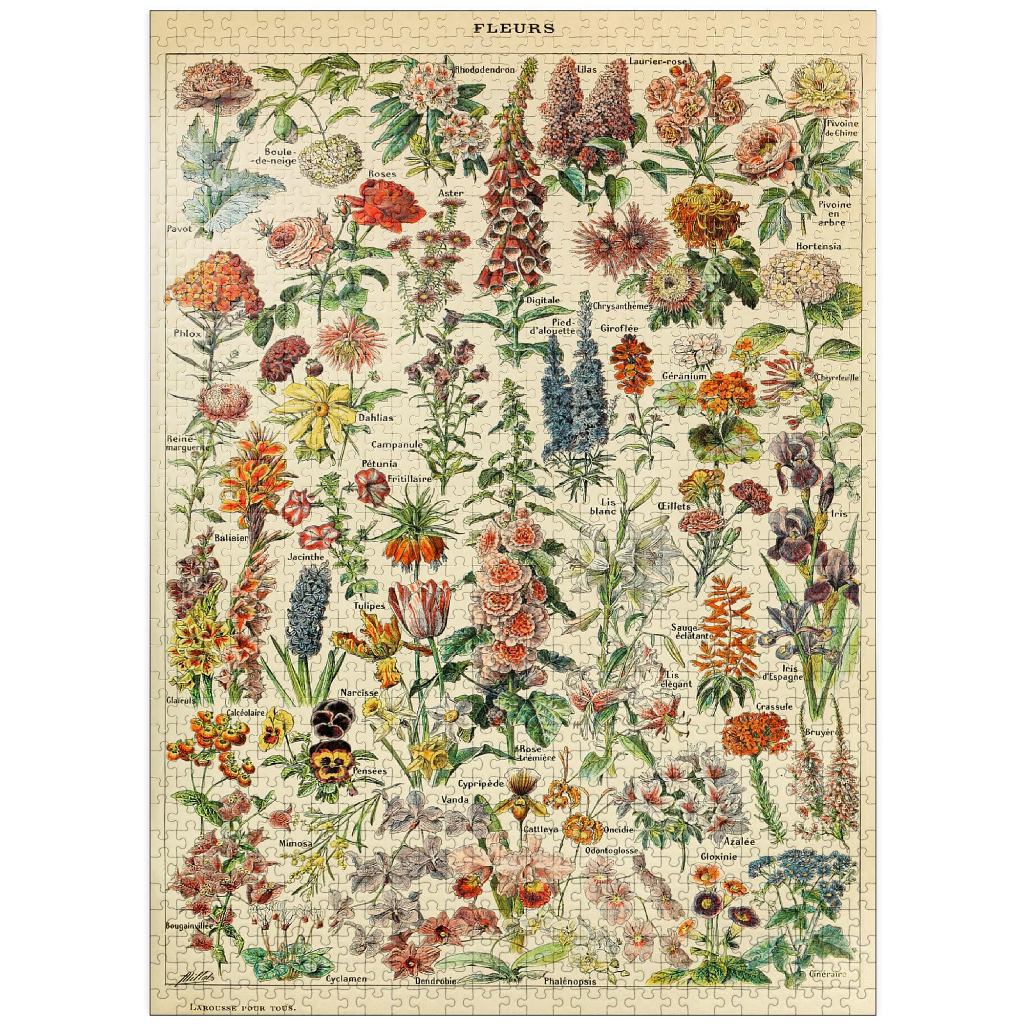 MyPuzzle Fleurs vintage art poster collection featuring Adolphe Millot imagery for cozy puzzle nights.
