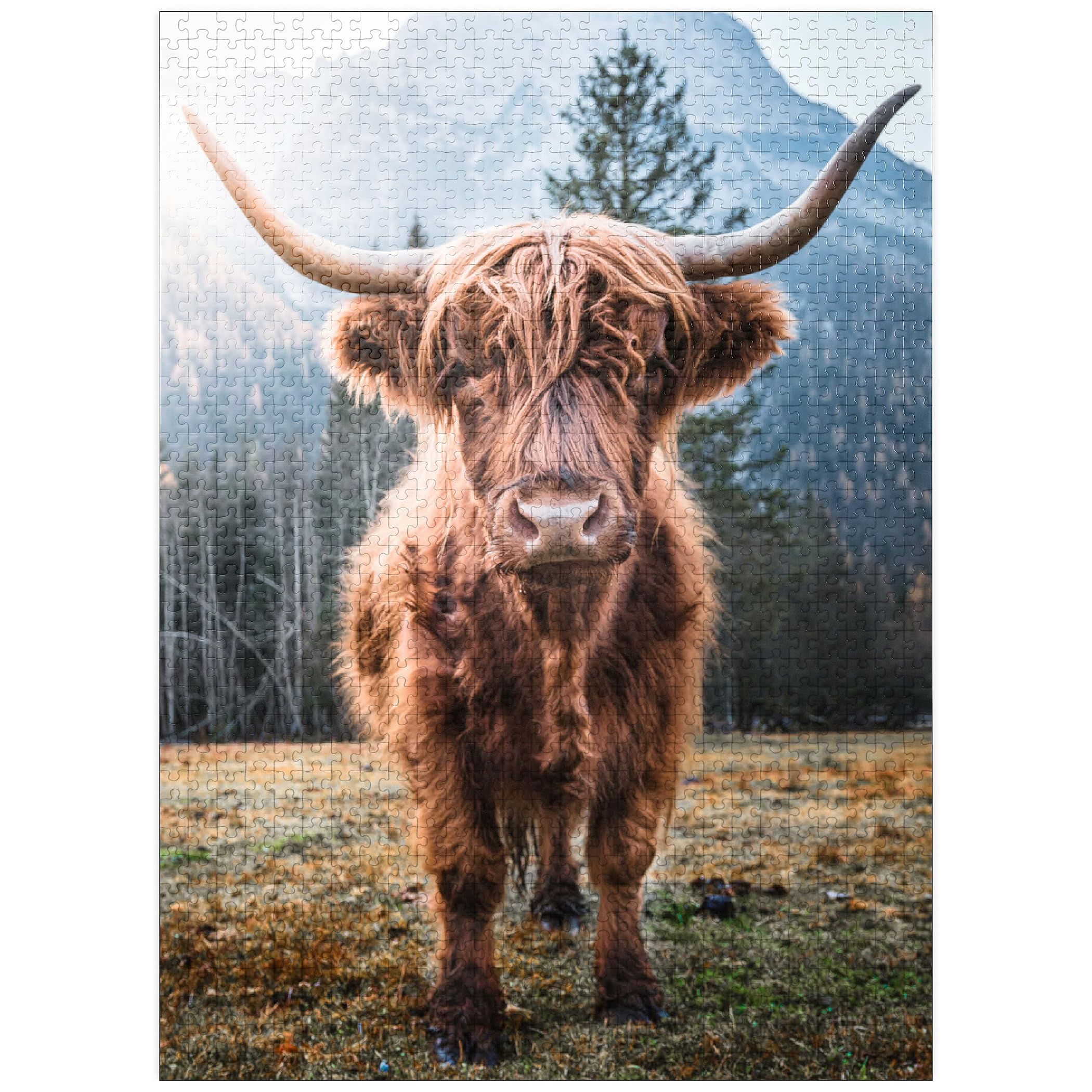 MyPuzzle Highland Cattle Dolomites puzzle box with vibrant colors for adults.
