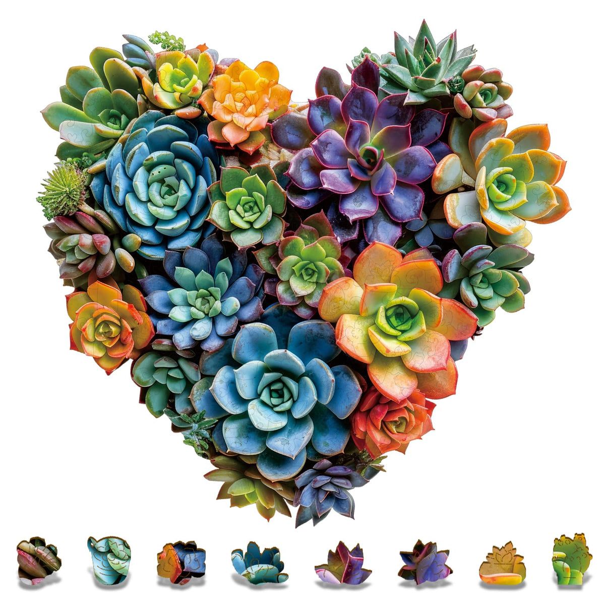 Mys Aurora heart-succulent puzzle showing vibrant hand-painted art for nature-inspired decor
