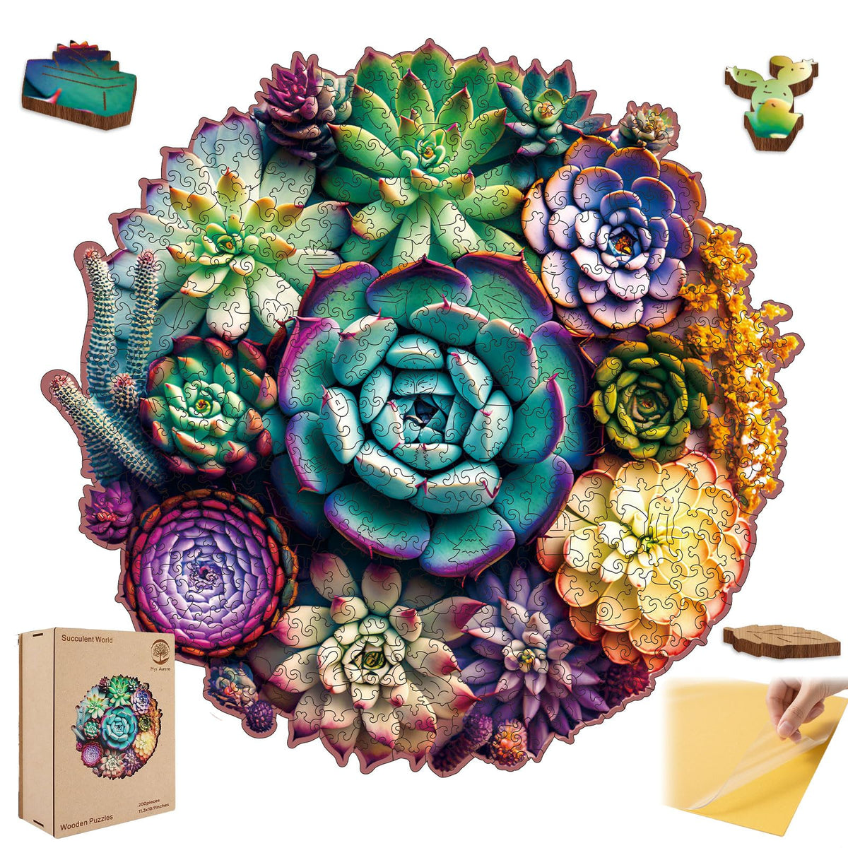 Mys Aurora mandala succulent puzzle with vibrant hand-painted design for decorative display