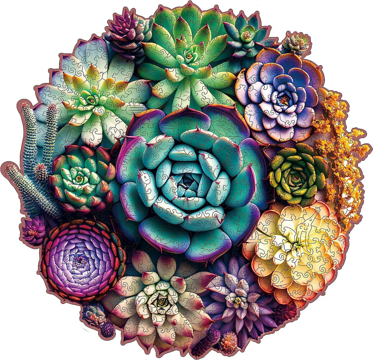Mys Aurora mandala succulent puzzle in king-size format for immersive assembly