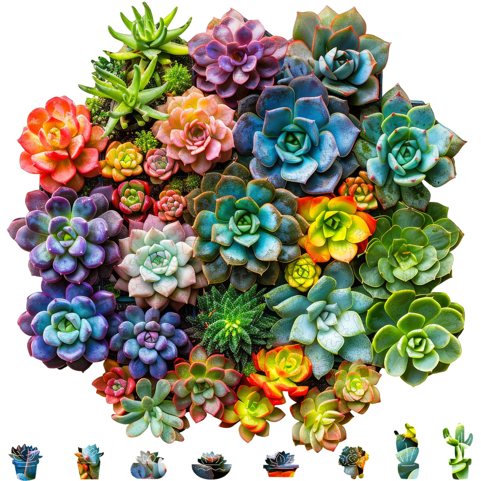 Mys Aurora succulent puzzle forest pattern, vibrant wooden art for cozy spaces