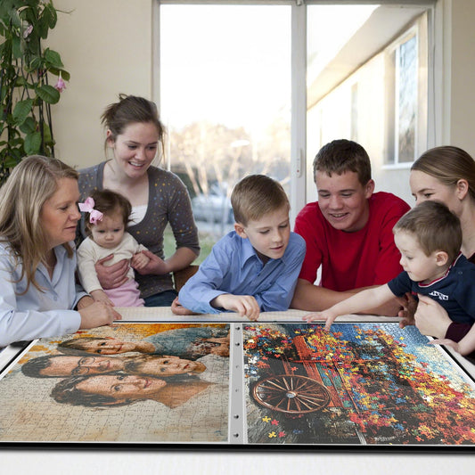 Nariolar puzzle storage folder open lid provides quick access for puzzle review.