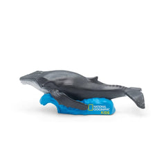 National Geographic Kids Whale Tonies habitat scene helps visualize whale ecosystems.
