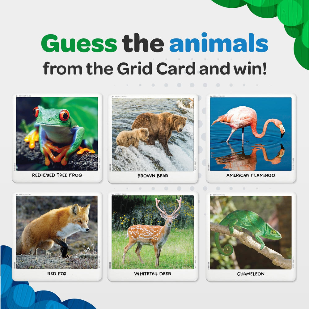 Facts cards from Secret Clue Animals reveal intriguing wildlife details