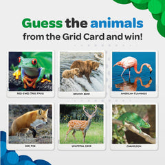Facts cards from Secret Clue Animals reveal intriguing wildlife details