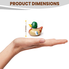 Natural State Mallard Duckies birthday theme ducks, ideal party favors and whimsical centerpieces.