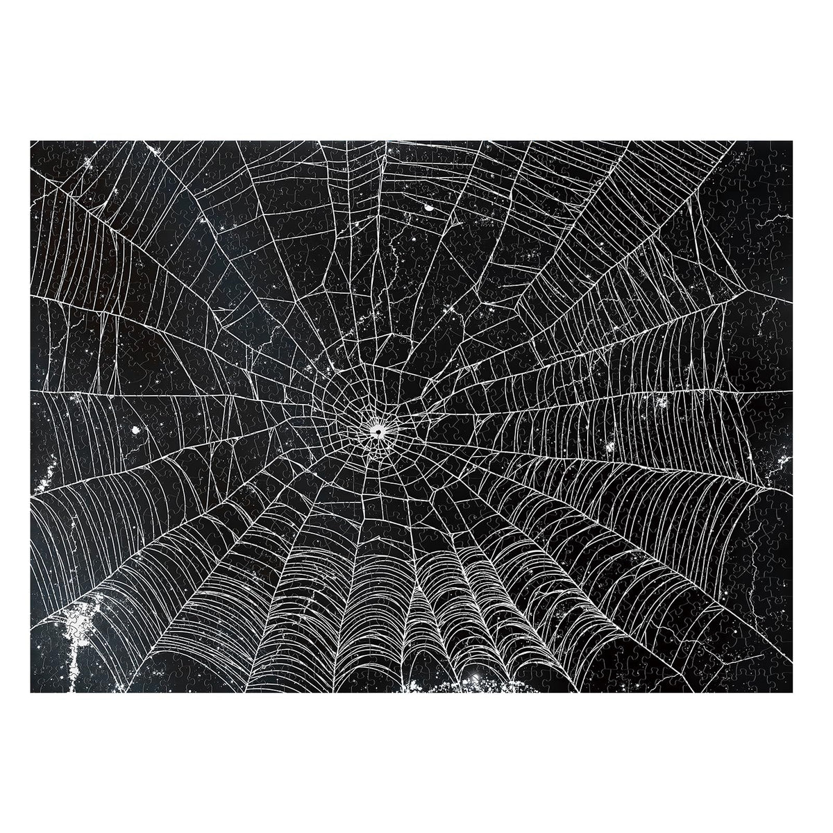 Naturelish double sided spider web puzzle front design with vibrant colors for engaging solo play