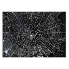 Naturelish double sided spider web puzzle front design with vibrant colors for engaging solo play