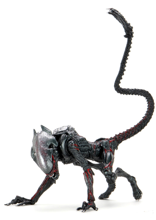 NECA Night Cougar figure in full pose for display and collection.