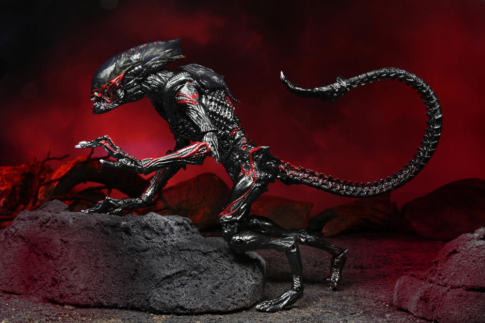 NECA Night Cougar stands at 9 inches for accurate display scale.