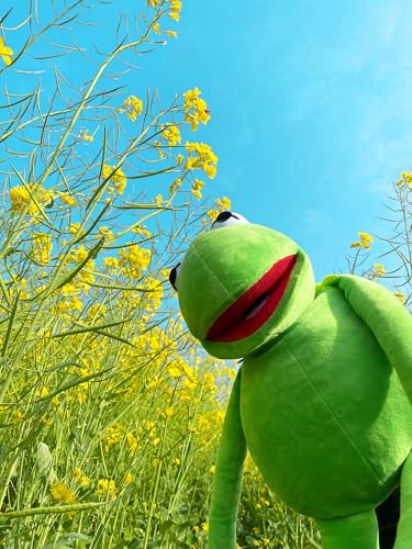 NICERINC Kermit Puppet ideal for classroom storytelling and home play.