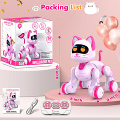 Nicmore Robot Cat gift-ready packaging makes a thoughtful gift.