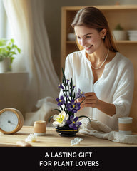 Nifeliz Gladiolus packaging and instructions support easy assembly.