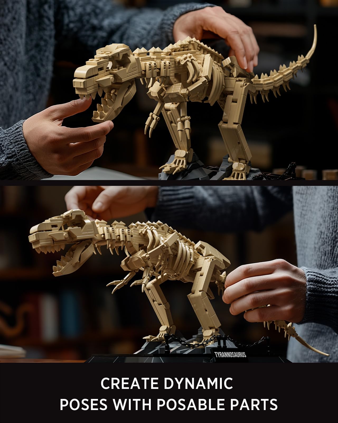 Nifeliz T. rex fossil model sized for desk, shelf, cabinet display.