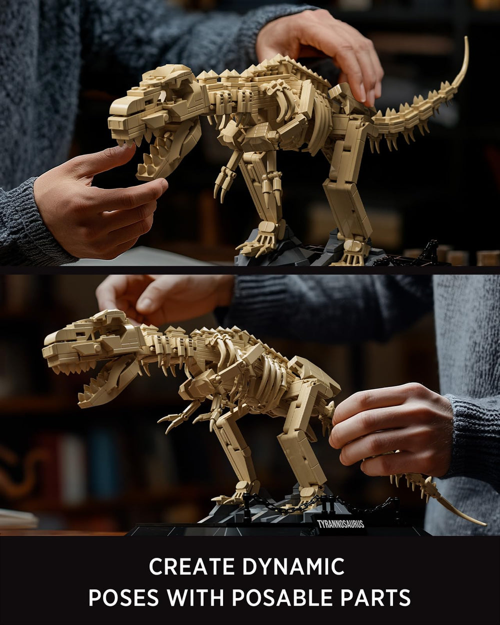 Nifeliz T. rex fossil model sized for desk, shelf, cabinet display.
