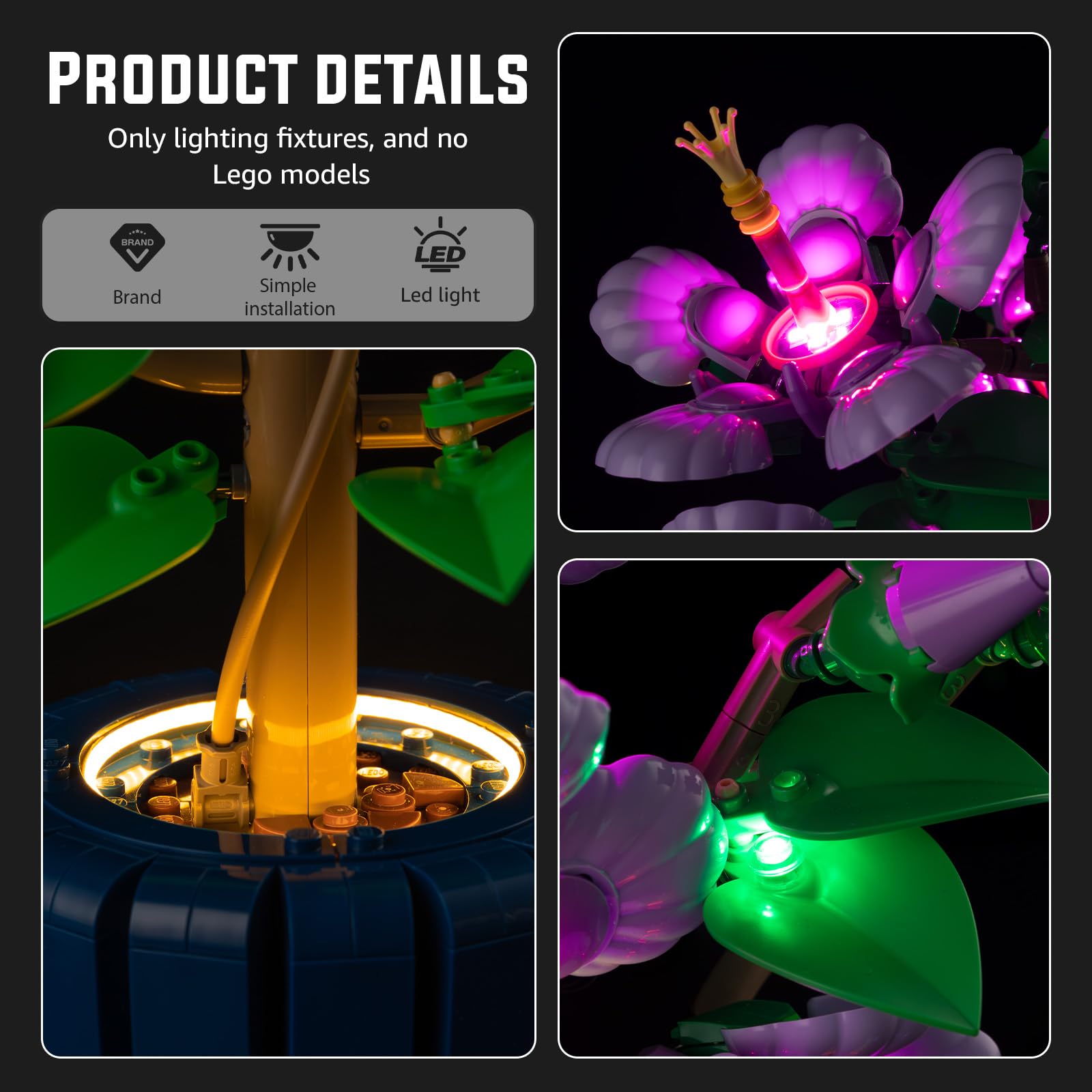 Nitemode light kit warm glow emphasizes petals and textures.