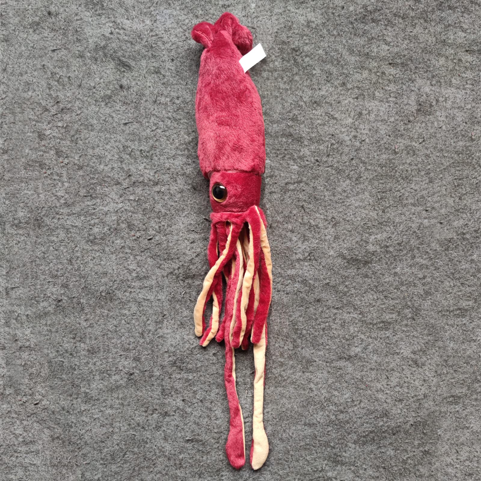 Nohito squid plush packaging shown as a thoughtful gift presentation.