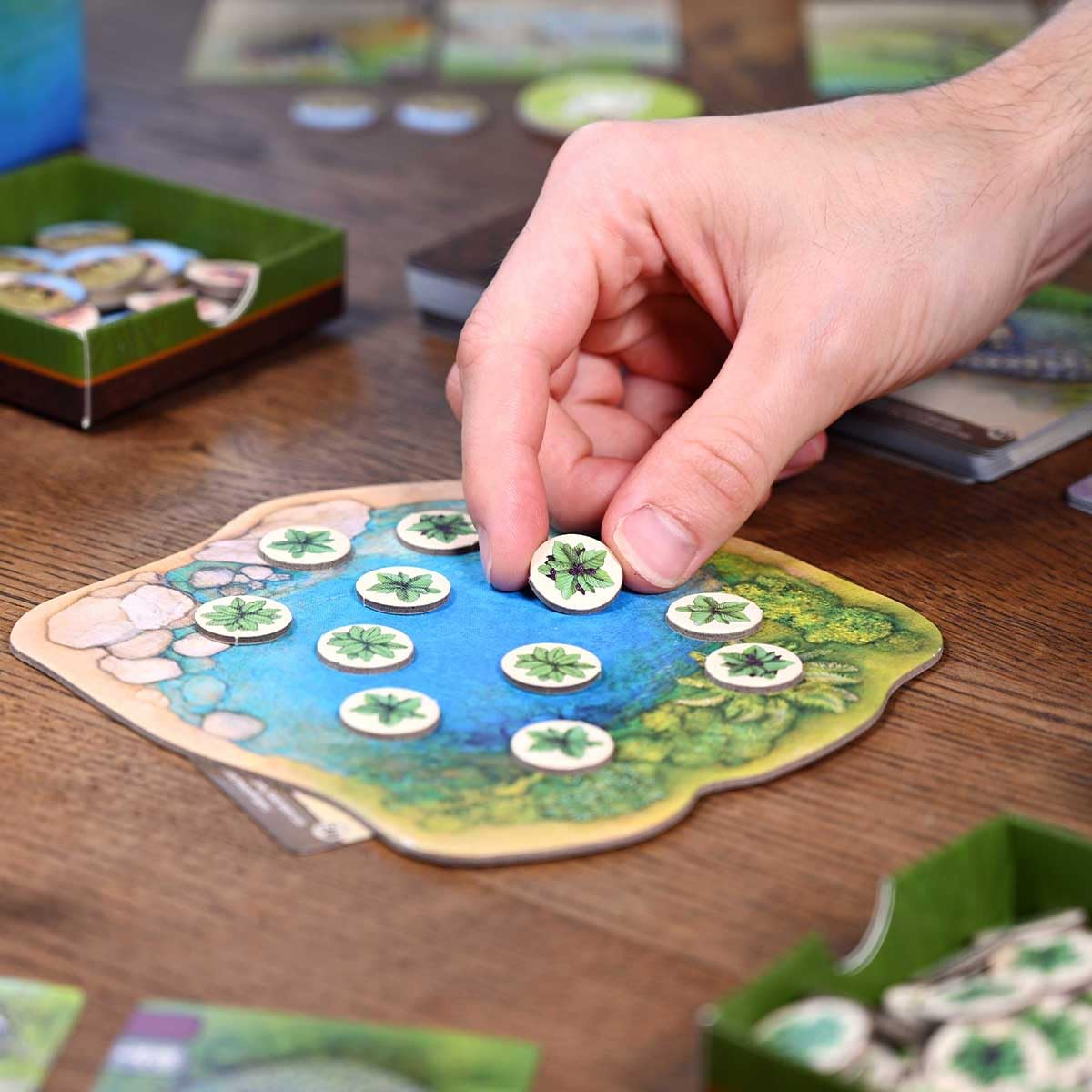 North Star Games Nature Board Game eco friendly materials emphasize sustainable, worry-free play.